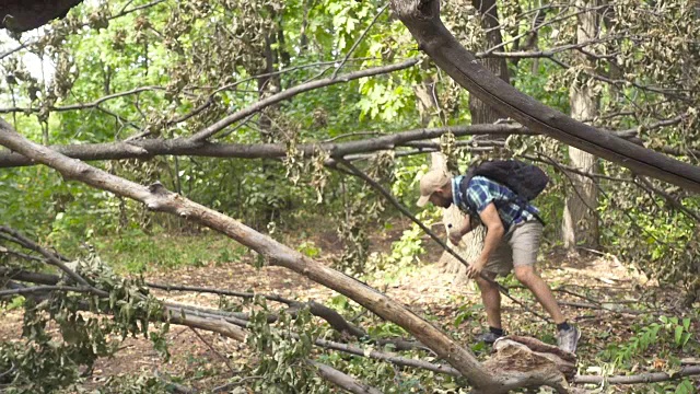 迷路的游客男子近距离走过森林喝水。一个背着背包的男人在树林里。徒步旅行。绿色的森林。森林之旅露营。休闲。生态旅游。缓慢的运动。视频素材