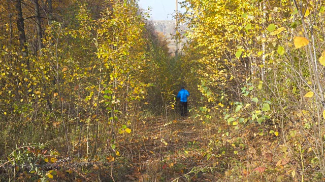 在森林里的小道上奔跑的人穿越乡村。在鼓舞人心的秋季风景中越野跑步时进行户外训练和锻炼。体育动机。视频素材