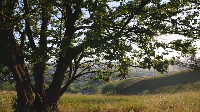 在落日山脉。美丽的自然景观在夏季时间视频素材