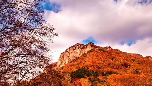 大长山(名山)的秋叶景观和白羊沙的双归庐(佛宫)视频素材