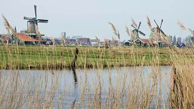 Zaanse Schans的风车视频素材