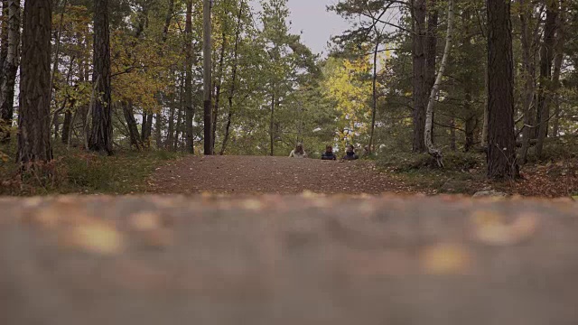 表面水平拍摄的老年人谈话，而徒步旅行与北欧手杖在道路中树木视频素材