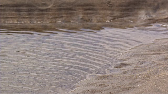 海滩视频素材