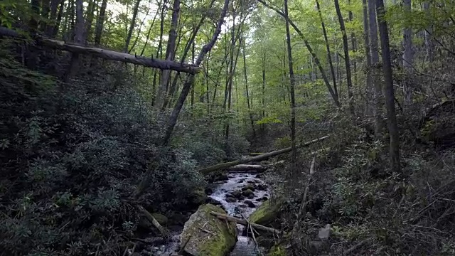 一架无人机从北卡莱罗纳州布莱森市南塔哈拉国家森林的一条岩石溪流上飞过视频素材