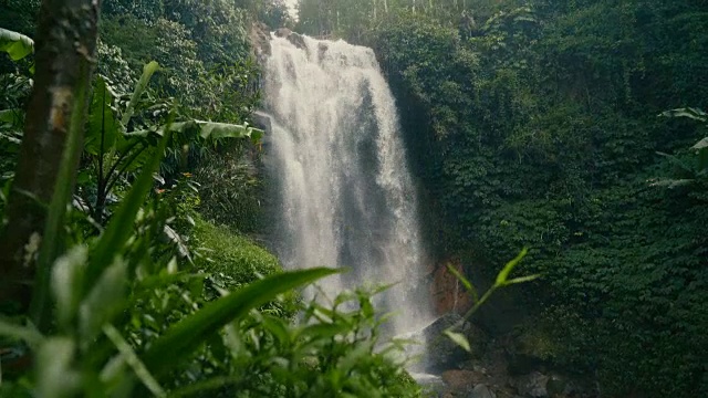 热带雨林瀑布美景视频素材