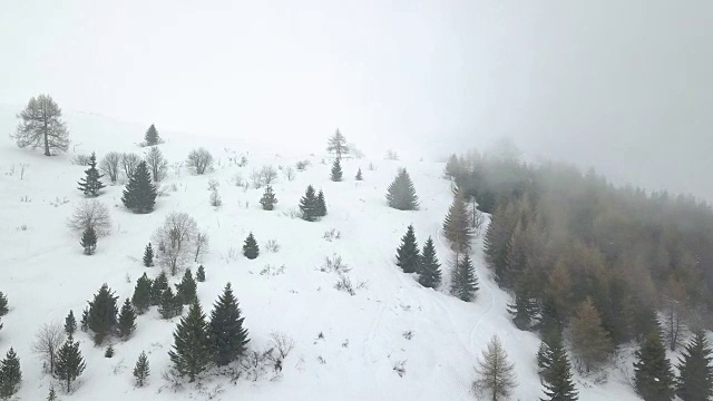 在一个雾天飞越阿尔卑斯山-塞西尔阿尔姆视频素材