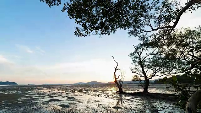 4K时间推移运动控制滑块和平移，倾斜的树在热带海洋日落或日出傍晚的时间视频素材