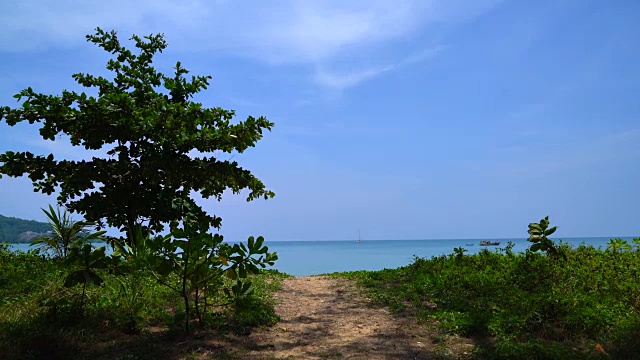 美丽的热带海滩和大海视频素材