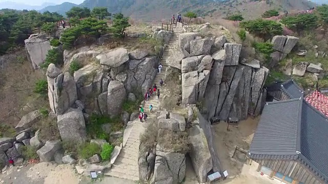 2018年4月26日-2018年4月26日金达拉杜鹃花盛开在Biseul山，大秋，韩国，亚洲视频素材