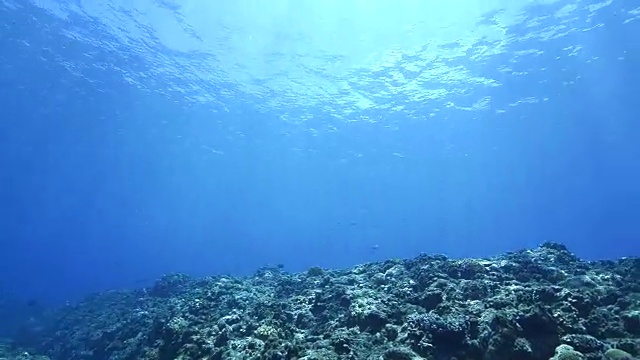 阳光照进水下洞穴视频素材