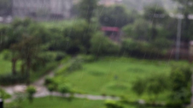 雨季视频素材