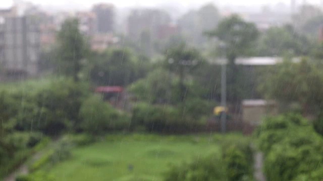 雨季视频素材