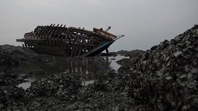 日落海难，多莉被拍到。视频素材