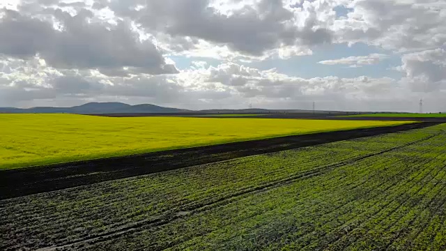 一架无人机从菜籽田上空飞过视频素材