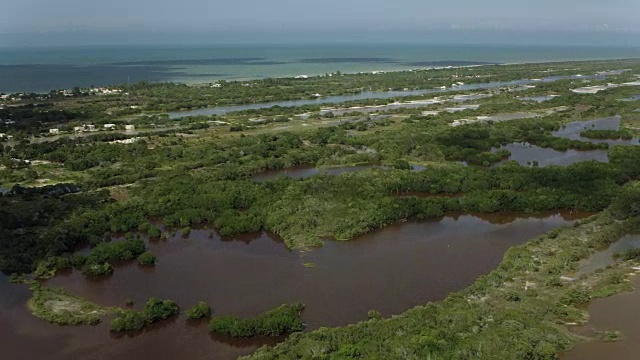 墨西哥红树林湿地的航拍视频素材