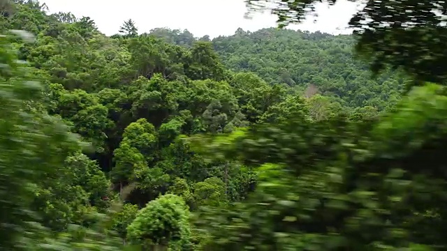 泰国森林航空公司视频素材