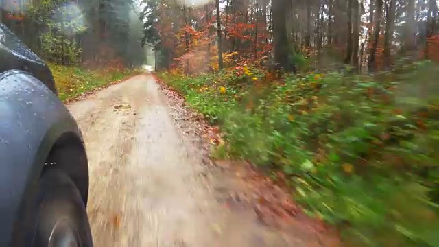 在秋雨的森林里开车视频素材