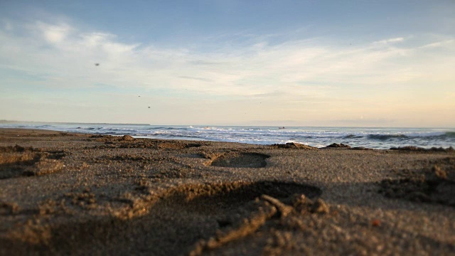 热带海滩，加勒比海岸，哥斯达黎加。视频素材