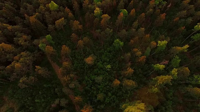 鸟瞰图:春天日落时的巴伐利亚森林视频素材