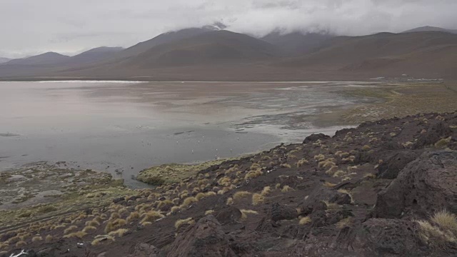 乌尤尼盐田附近的红泻湖全景视频素材