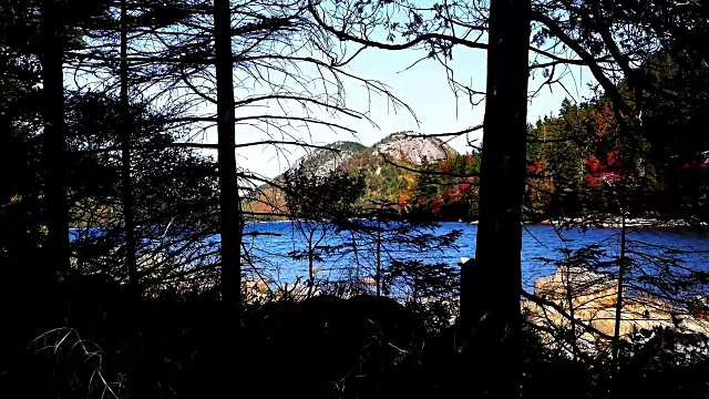 在Acadia NP newr Jordan Pond，可以看到树木和水视频素材