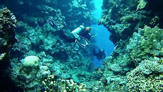 在红海洞穴里潜水的潜水员视频素材