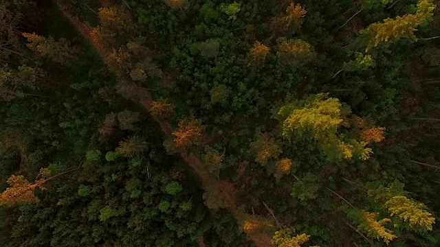 鸟瞰图:春天日落时的巴伐利亚森林视频素材