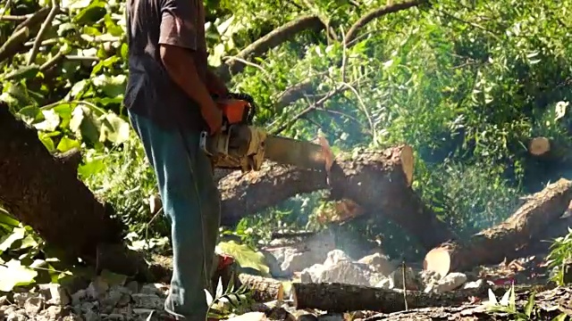 伐木工用电锯横锯树枝视频素材