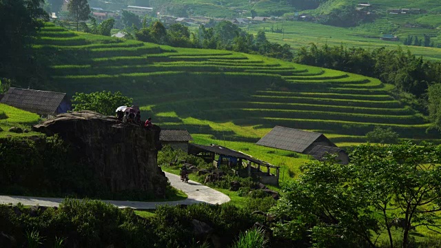 在亚洲越南萨帕骑摩托车穿过风景优美的梯田视频素材