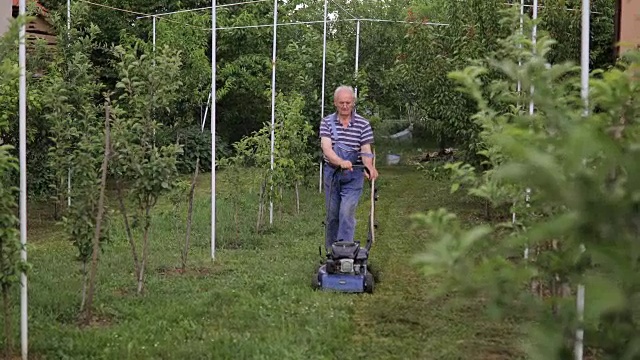 在果园里用割草机割草的老人视频素材