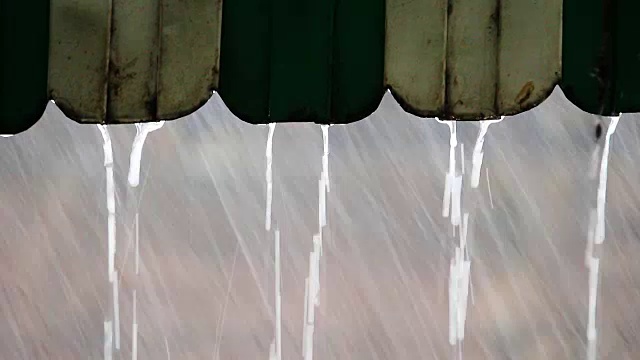 暴雨。大雨，强风视频素材