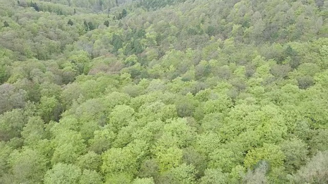 鸟瞰图丘陵绿色森林视频素材