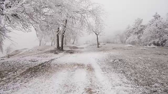 超现实主义的空地。天气多风，树上结满了白霜视频素材