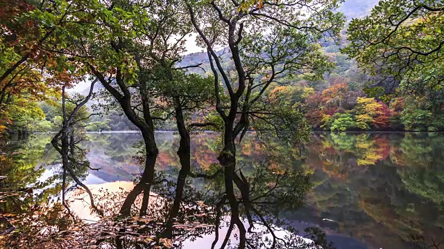 Jusanji Pond (Small reservoir located in Juwangsan National Park) (Popular tourist destinations)和倒影的树在秋天的Cheongsong, Gyeongsangbuk do视频素材