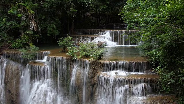 森林中的淡水瀑布视频素材