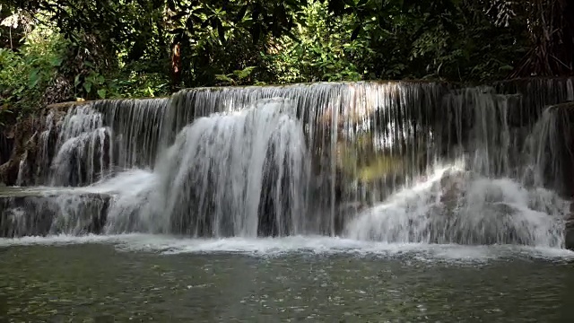 森林中的淡水瀑布视频素材