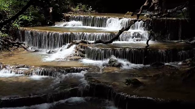 森林中的淡水瀑布视频素材