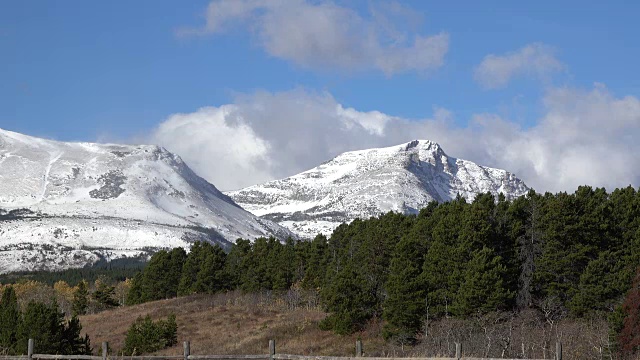 蒙大拿的森林和雪山视频素材