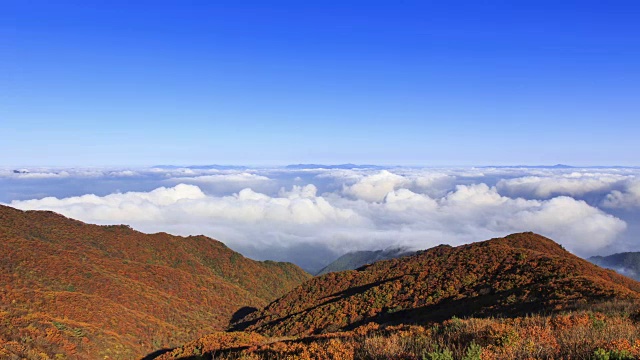 云海的第二Yeonhwabong(山峰)和秋天的颜色Sobaksan山(国家公园)，丹阳枪，忠清北道视频素材