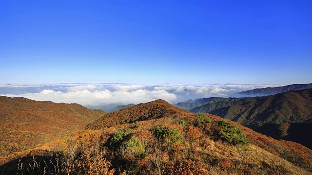 云海的第二Yeonhwabong(山峰)和秋天的颜色Sobaksan山(国家公园)，丹阳枪，忠清北道视频素材