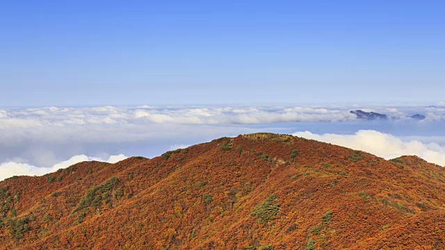 云海的第二Yeonhwabong(山峰)和秋天的颜色Sobaksan山(国家公园)，丹阳枪，忠清北道视频素材