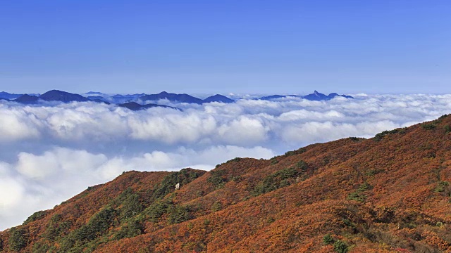 云海的第二Yeonhwabong(山峰)和秋天的颜色Sobaksan山(国家公园)，丹阳枪，忠清北道视频素材