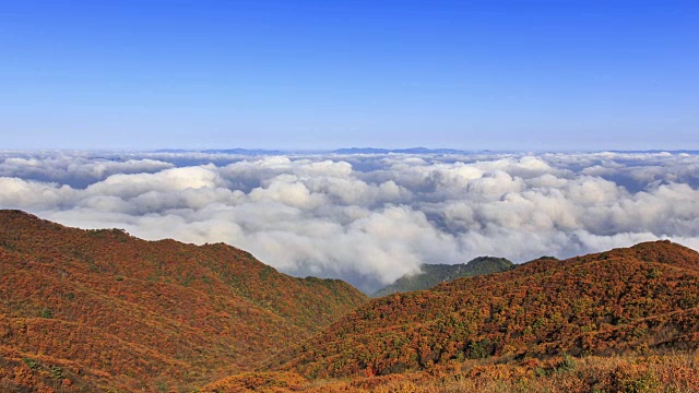 云海的第二Yeonhwabong(山峰)和秋天的颜色Sobaksan山(国家公园)，丹阳枪，忠清北道视频素材