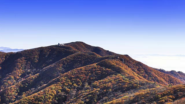 云海的第二Yeonhwabong(山峰)和秋天的颜色Sobaksan山(国家公园)，丹阳枪，忠清北道视频素材