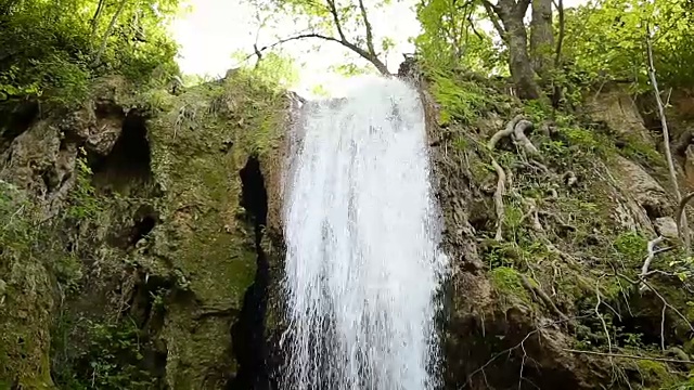 森林中的瀑布视频素材