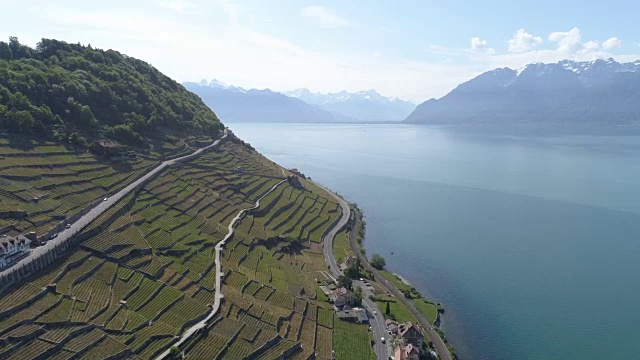 拉沃葡萄园-空中4K - 2倍速度视频素材