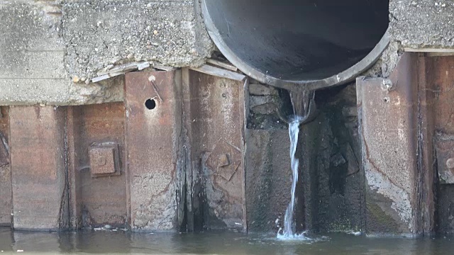 鸽子在管道里，污水污染了河流视频素材