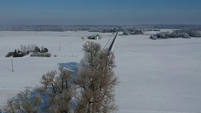 美丽的冬季道路和结霜的树巷，鸟瞰图视频素材