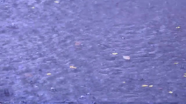 雨在城市的街道上落下洪水视频素材