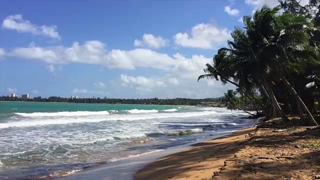 波多黎各海滩上有风的一天视频素材